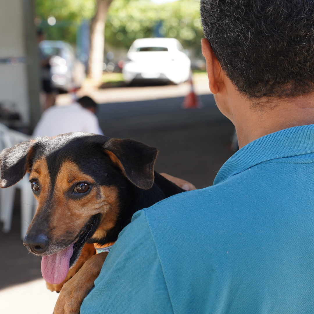 Sarandi recebe programa estadual de castração gratuita CastraPet-PR